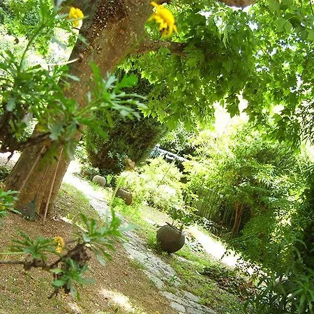 Otel Le Prado De St Raph 2*