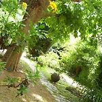 Hotel Le Prado De St Raph 2*