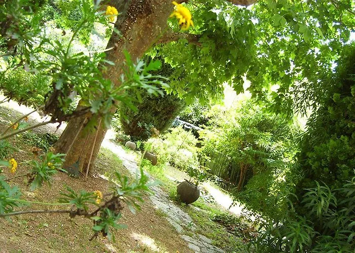 Hotel Le Prado De St Raph 2*